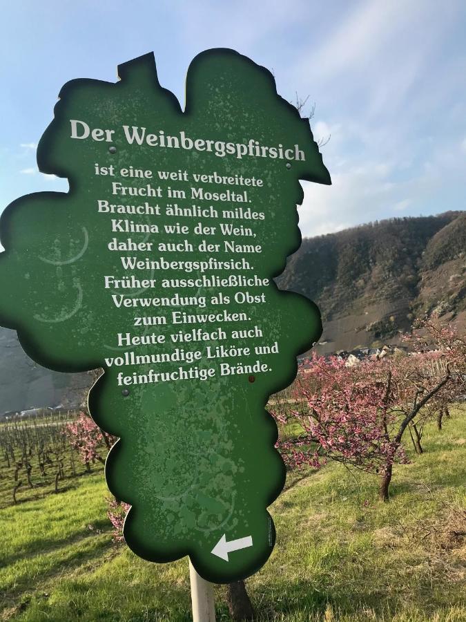 ארנסט Residenz Moselzauber - Ferienwohnungen Mit Pool Landschaft מראה חיצוני תמונה
