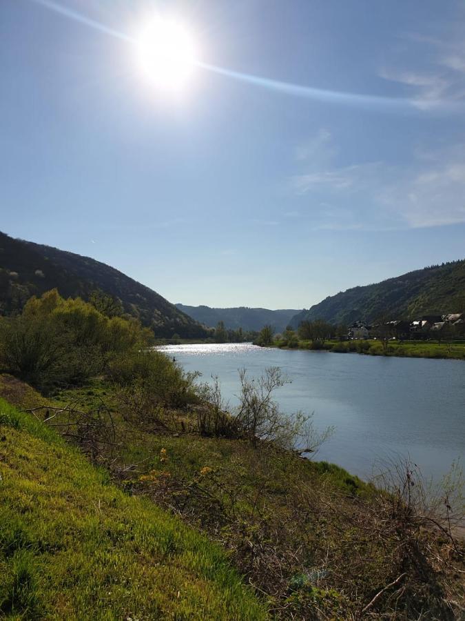 ארנסט Residenz Moselzauber - Ferienwohnungen Mit Pool Landschaft מראה חיצוני תמונה