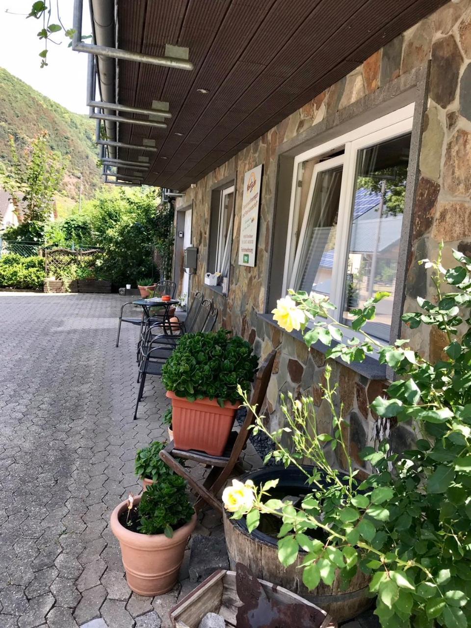 ארנסט Residenz Moselzauber - Ferienwohnungen Mit Pool Landschaft מראה חיצוני תמונה