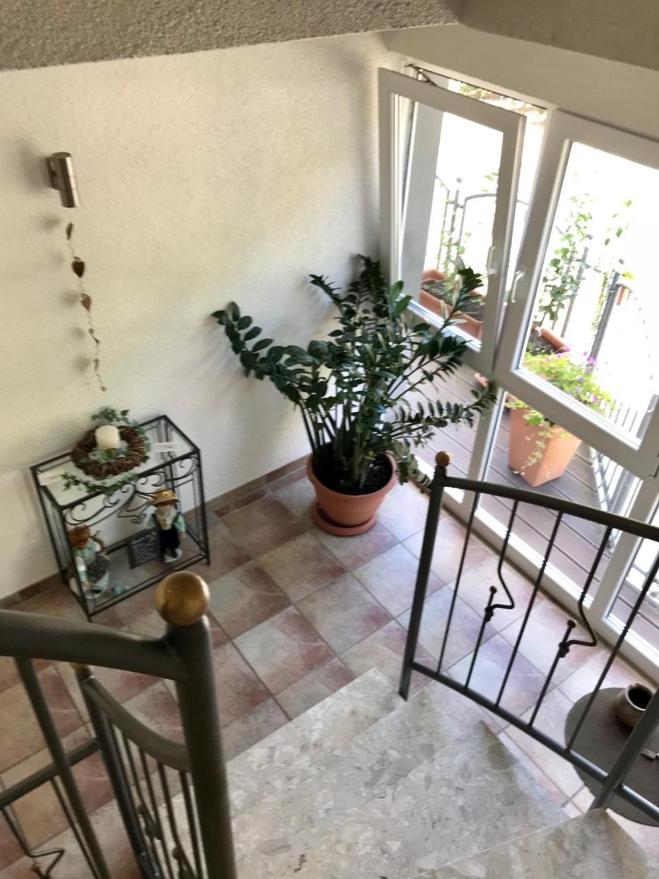 ארנסט Residenz Moselzauber - Ferienwohnungen Mit Pool Landschaft מראה חיצוני תמונה